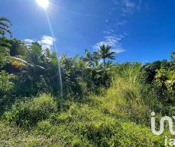 Terrain Saint Joseph