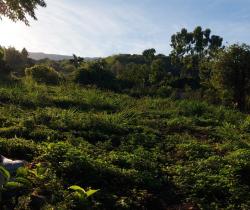 Terrain Le Guillaume
