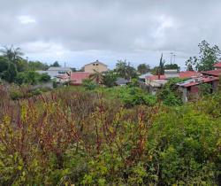 Terrain  450 m2
