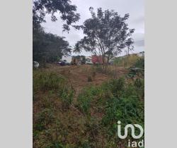Terrain  580 m2