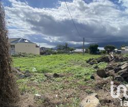 Terrain  350 m2