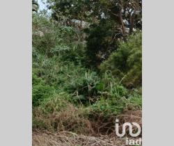 Terrain  186 m2