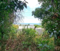 Terrain  295 m2