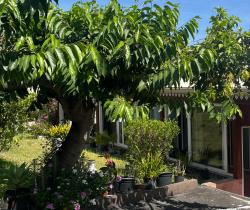 Maison / Villa Plus de 5 pièces  200 m ...