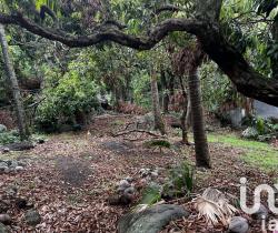 Terrain  578 m2