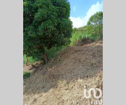 Terrain  507 m2