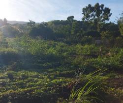 Terrain  Le Guillaume