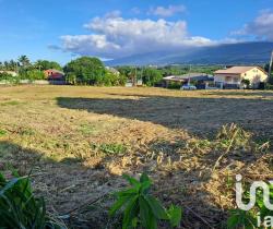 Terrain  499 m2