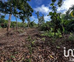 Terrain  350 m2