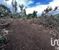 Terrain  356 m2