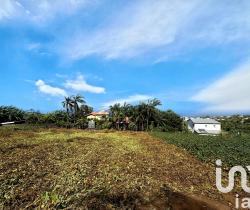 Terrain  Petite Île 