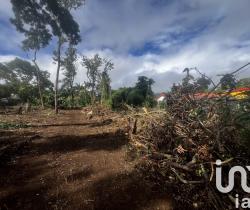 Terrain  356 m2