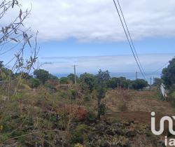 Terrain  Saint Leu 