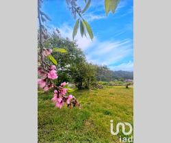 Terrain  Gol Les Hauts 