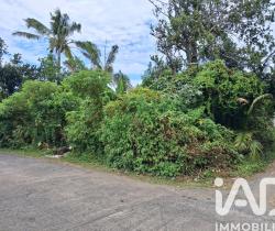 Terrain  Saint Benoît 