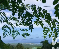 Terrain  Les Avirons 