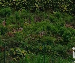 Terrain  Saint Joseph 