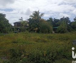 Terrain  Saint André 