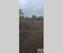 Terrain  Sainte Clotilde