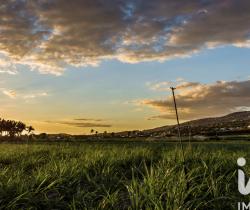 Appartement 4 pièce(s)  L’Étang Salé 