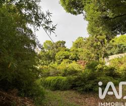 Terrain  Saint Denis 