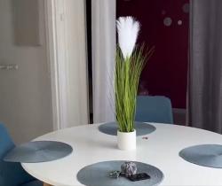 Appartement 2 pièce(s)  Sainte Clotilde