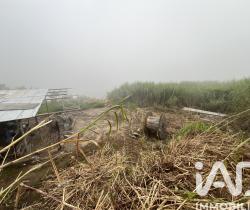 Terrain  Les Avirons 