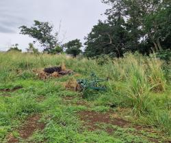 Terrain  Sainte Marie 