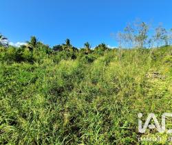 Terrain  Saint Louis 