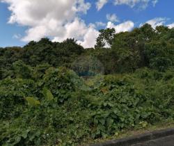 Terrains à bâtir  12.728 m2