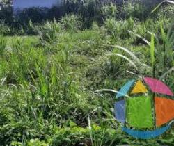 Terrain 
