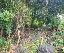 Terrain 