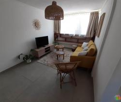 Appartement 3 pi&egrave;ce(s)  49 m2