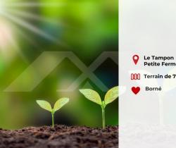 Terrain  729 m2