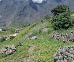 Terrains à bâtir  800 m2