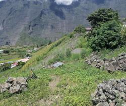 Terrains à bâtir  Cilaos 