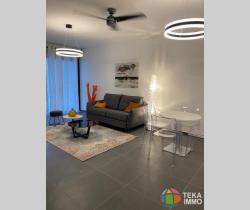 Appartement 2 pi&egrave;ce(s)  50 m2