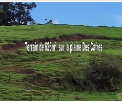Terrain 