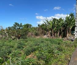 Terrain  441 m2