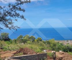 Terrain  287 m2
