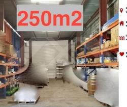 Local commercial studio