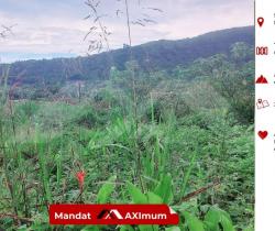 Terrain  441 m2