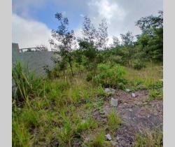 Terrain  446 m2