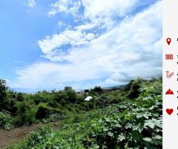 Terrain  740 m2