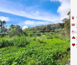 Terrain  584 m2