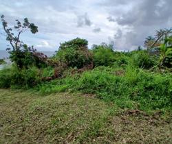 Terrain  1.230 m2