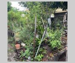 Maison / Villa 3 pièce(s)  70 m2