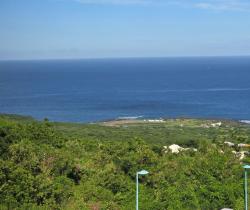 Terrain  445 m2