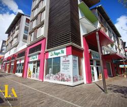 Fonds de commerce 
