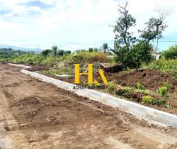 Terrain  243 m2